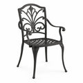 Chaise de jardin en métal avec accoudoirs Noir