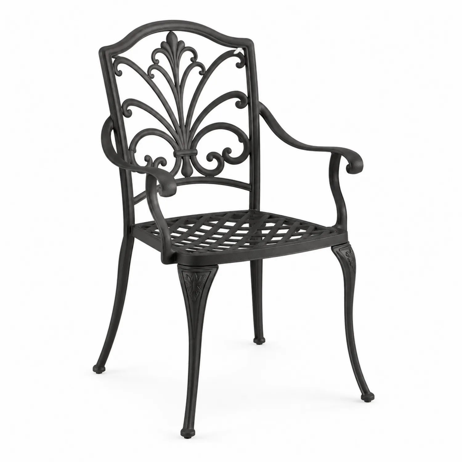 Chaise de jardin en métal avec accoudoirs Noir